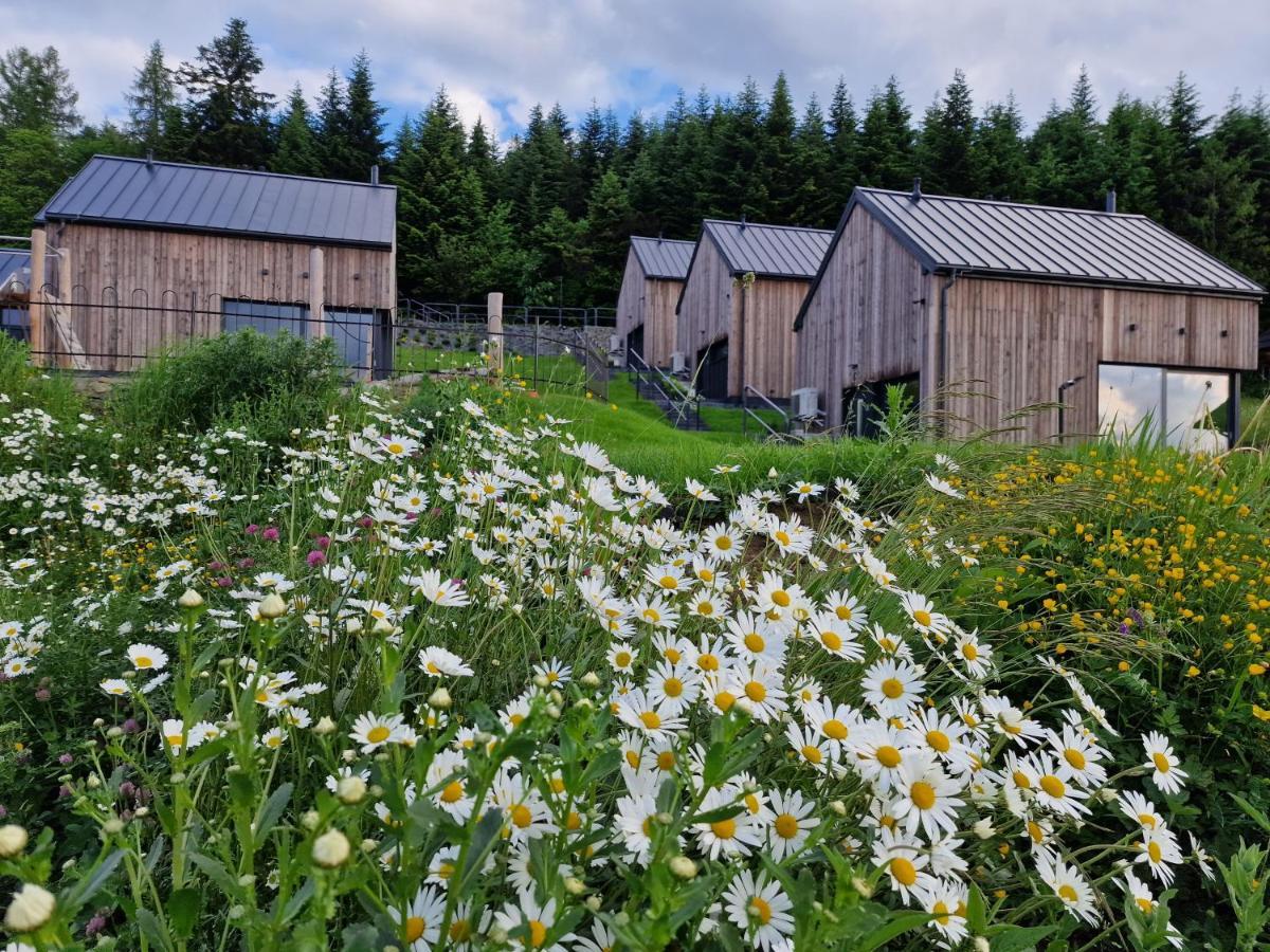 Domki z Górki na Pazurki Falsztyn Exterior foto